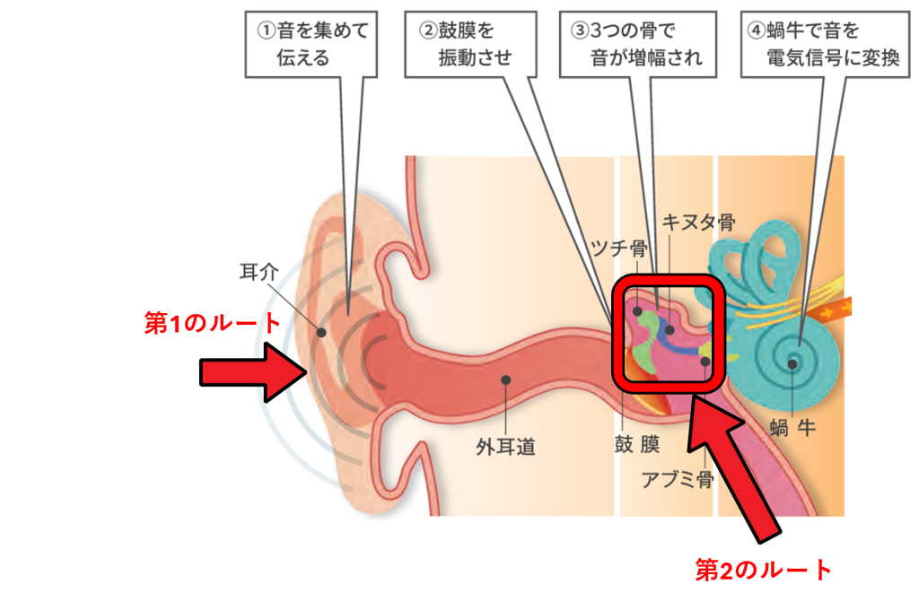 自分の声の２つの聞こえ方を説明