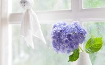 毎日のケアやその他の対策に加えて、日常生活の中でちょっとした工夫をすることで、さらに安心して梅雨を過ごせます。
